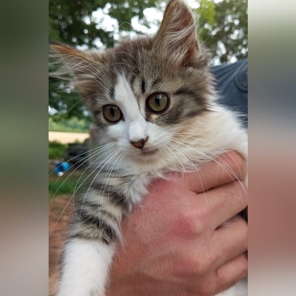 Meet your Posher, Bruce - Picture 2 of 2